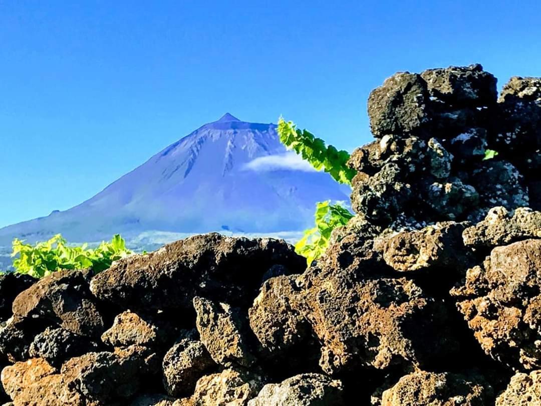 فيلا Lajidoفي Baco'S Vineyard المظهر الخارجي الصورة