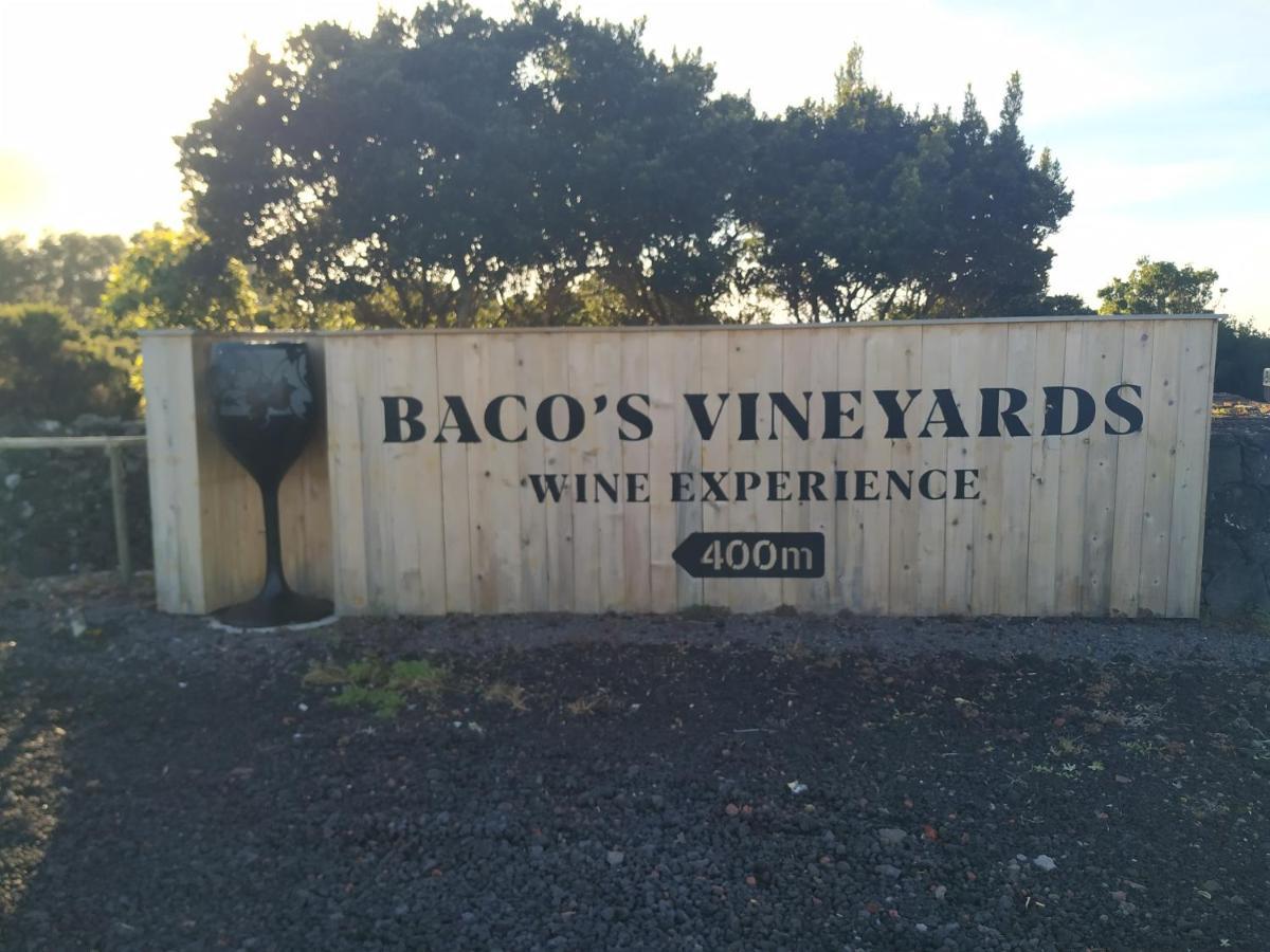 فيلا Lajidoفي Baco'S Vineyard المظهر الخارجي الصورة
