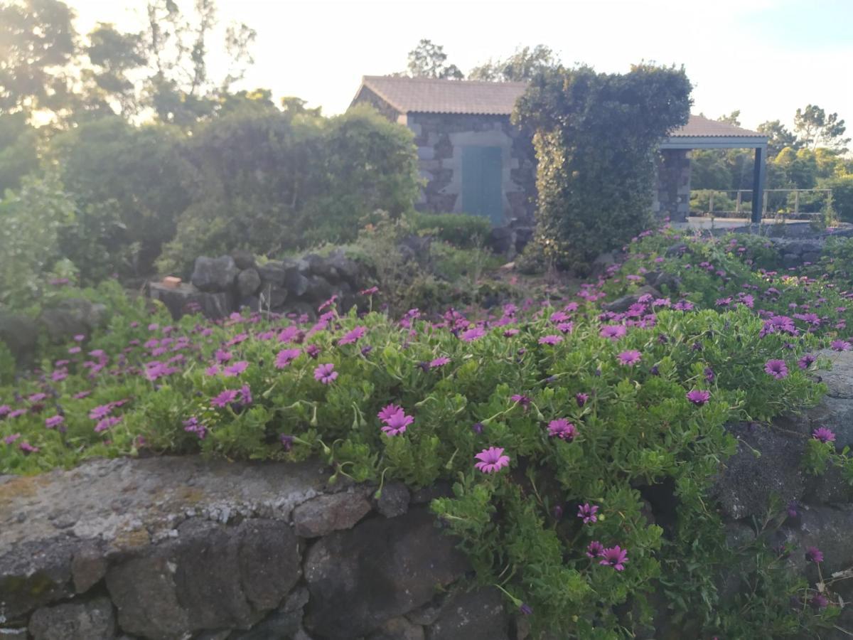 فيلا Lajidoفي Baco'S Vineyard المظهر الخارجي الصورة