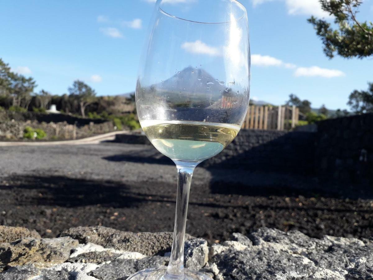 فيلا Lajidoفي Baco'S Vineyard المظهر الخارجي الصورة
